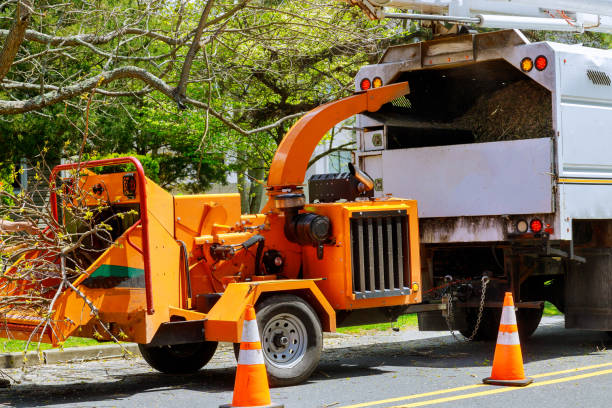  Swarthmore, PA Tree Services Pros
